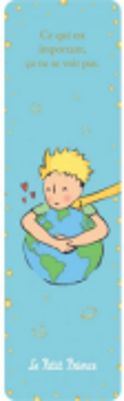 Semn de carte The Little Prince and Earth, Kiub