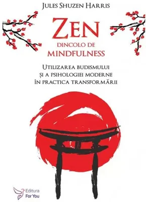 ZEN DINCOLO DE MINDFULNESS