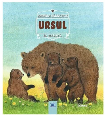 URSUL- Animale salbatice în natura