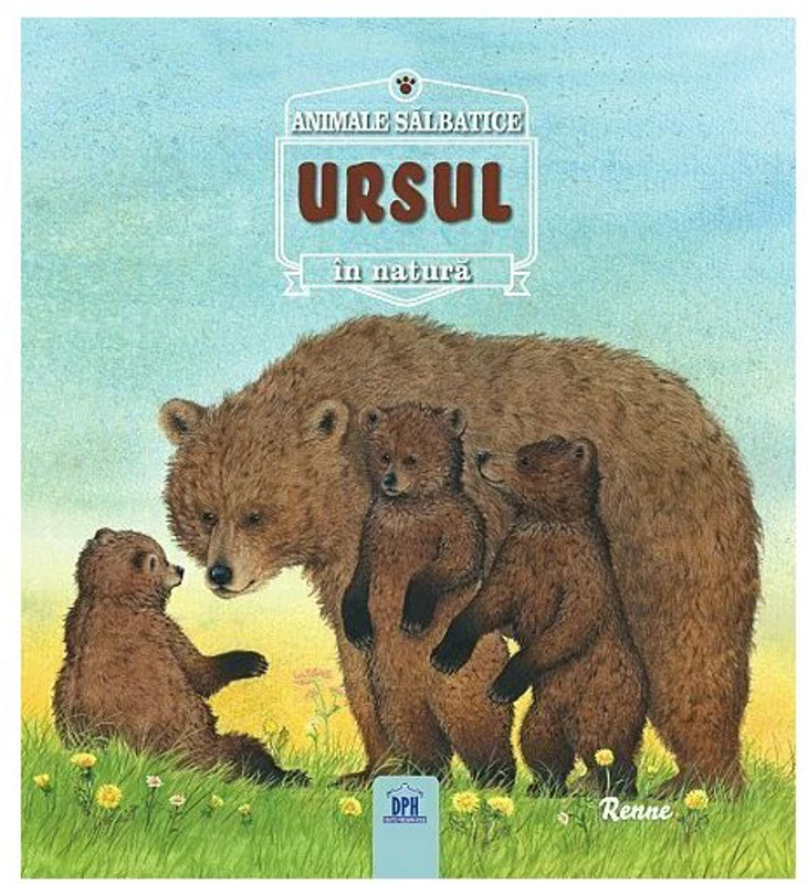 URSUL- Animale salbatice în natura