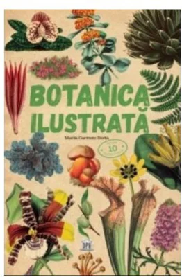 Botanica ilustrata