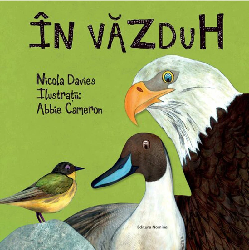 In vazduh