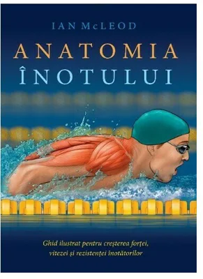 Anatomia inotului