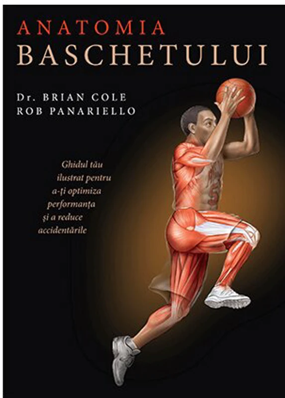 Anatomia baschetului