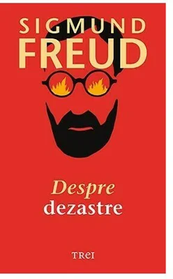 Despre dezastre