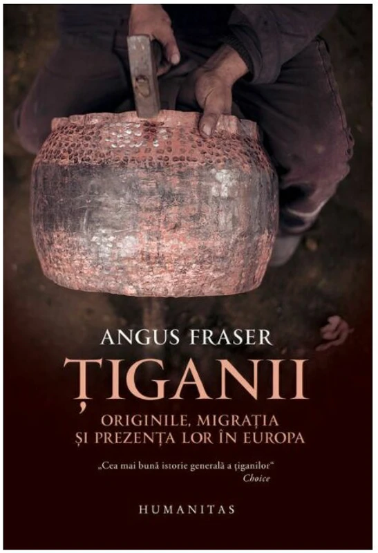 Tiganii: Originile, migratia si prezenta lor in Europa