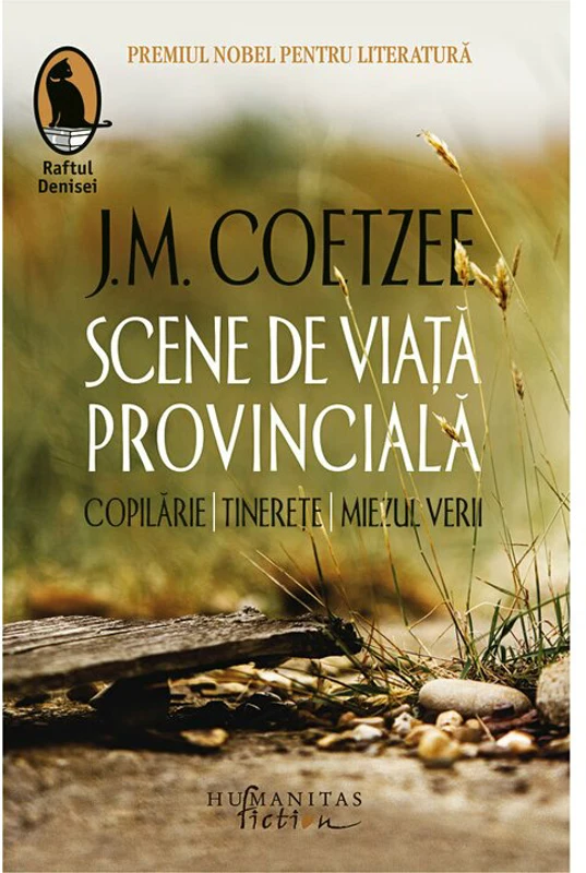 Scene de viata provinciala