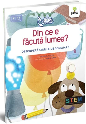 Din ce e facuta lumea? Descopera starile de agregare - David A. Adler