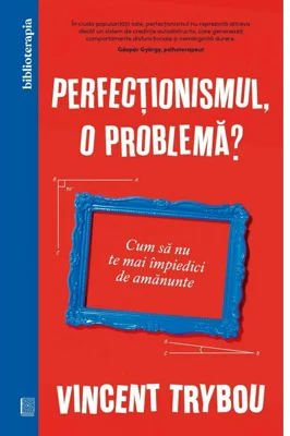 Perfectionismul, o problema? Cum sa nu te mai impiedici de amanunte - Vincent Trybou