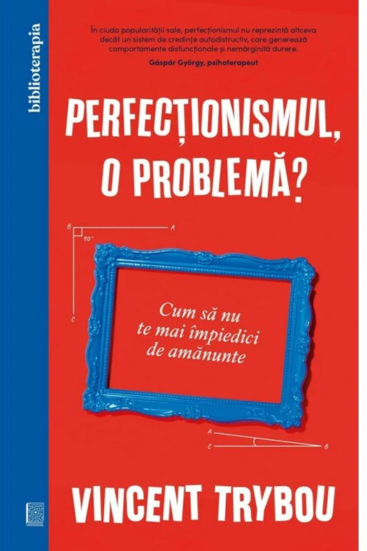 Perfectionismul, o problema? Cum sa nu te mai impiedici de amanunte - Vincent Trybou