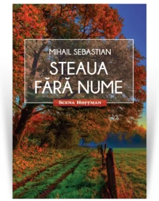 Steaua fara nume