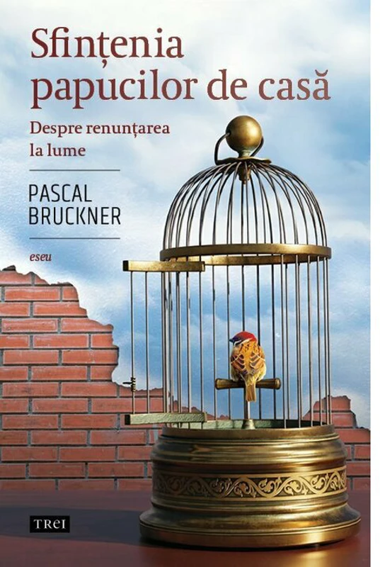 Sfintenia papucilor de casa