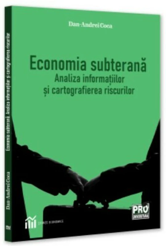 Economia subterana: analiza informatiilor si cartografierea riscurilor