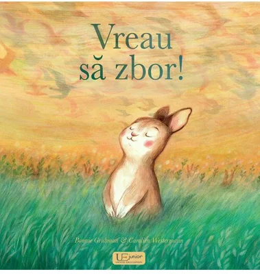 Vreau sa zbor