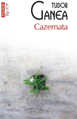 Cazemata (Top 10+)