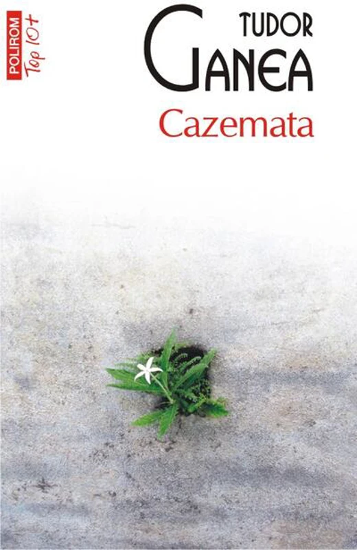 Cazemata (Top 10+)