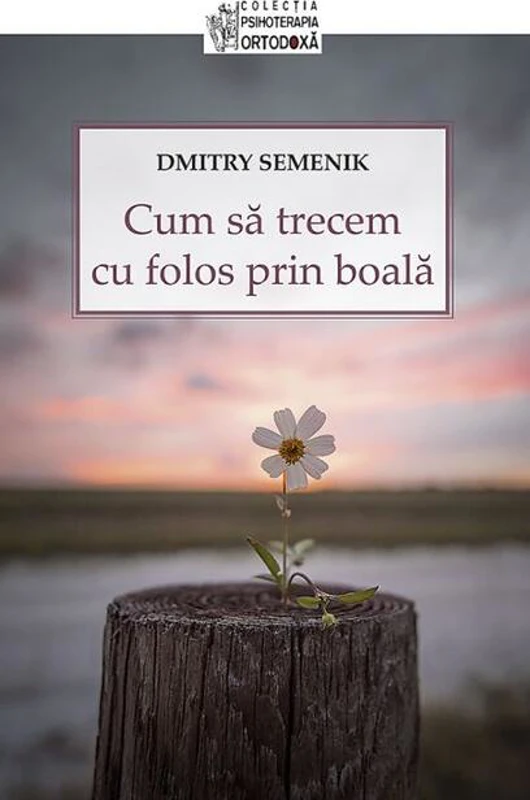 Cum să trecem cu folos prin boală
