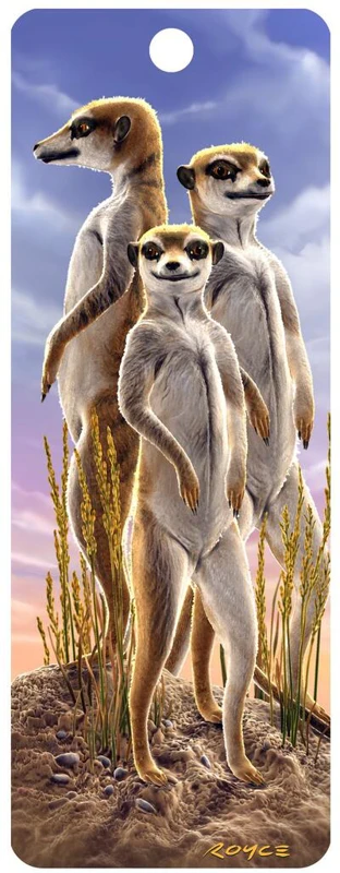 Semn de carte 3D - Meerkats