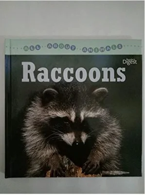 Raccoons