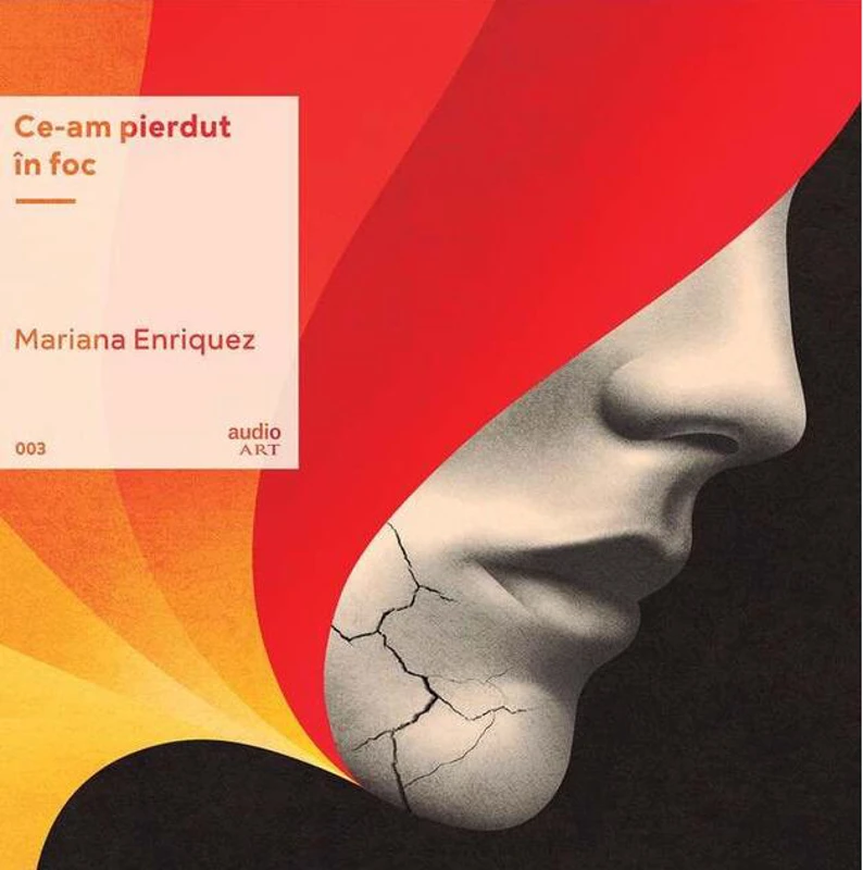 Ce-am pierdut în foc | vinil audiobook