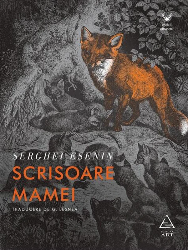 Scrisoare mamei