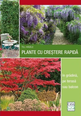 Plante cu creștere rapidă - în grădină, pe terasă sau balcon