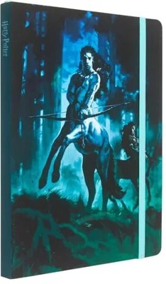 Insights Harry Potter: Centaurs Softcover Notebook