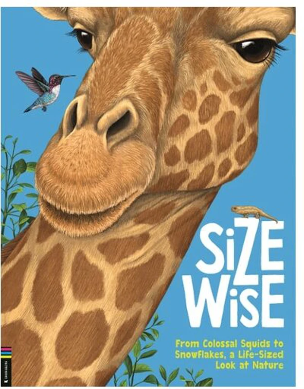 Size Wise