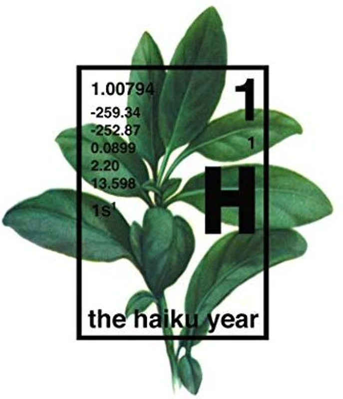 The Haiku Year