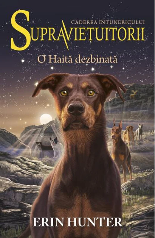 O Haită dezbinată. Supraviețuitorii (Vol. 7)