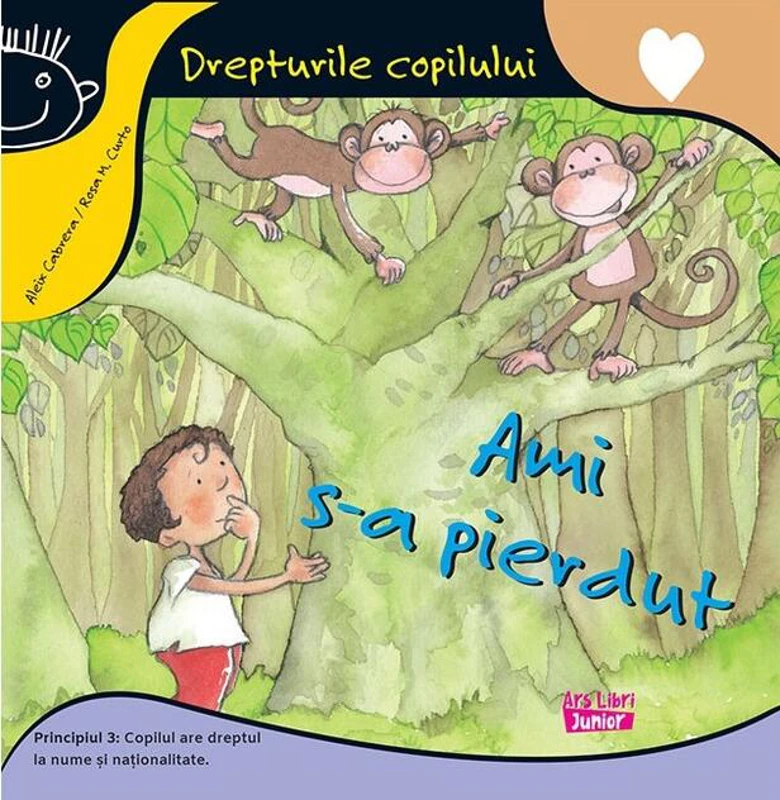 Ami s-a pierdut