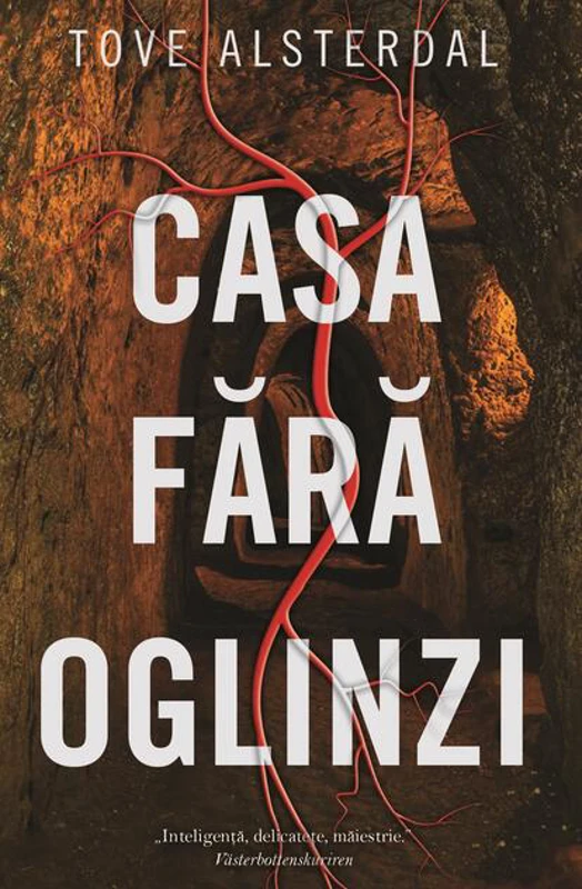 Casa fără oglinzi