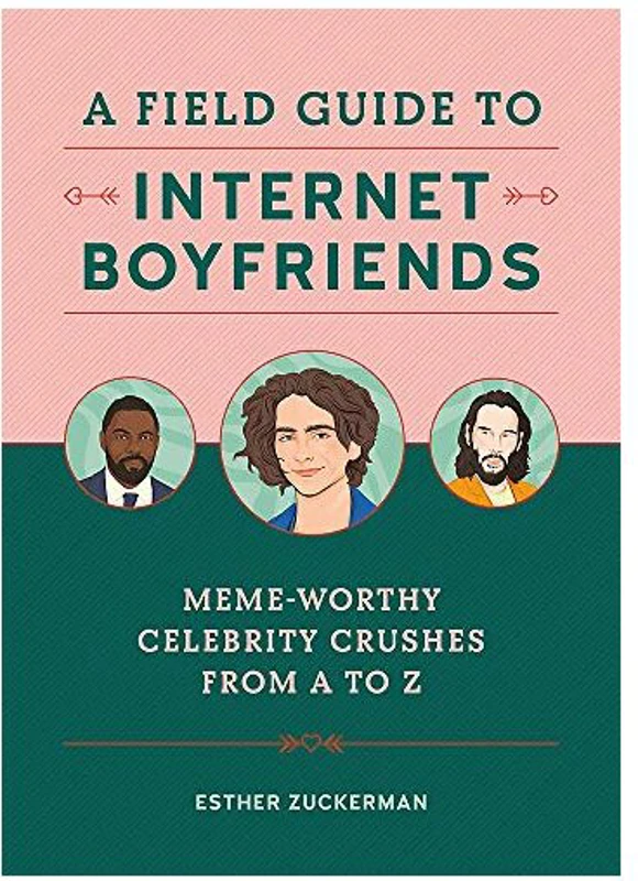Field Guide to Internet Boyfriends
