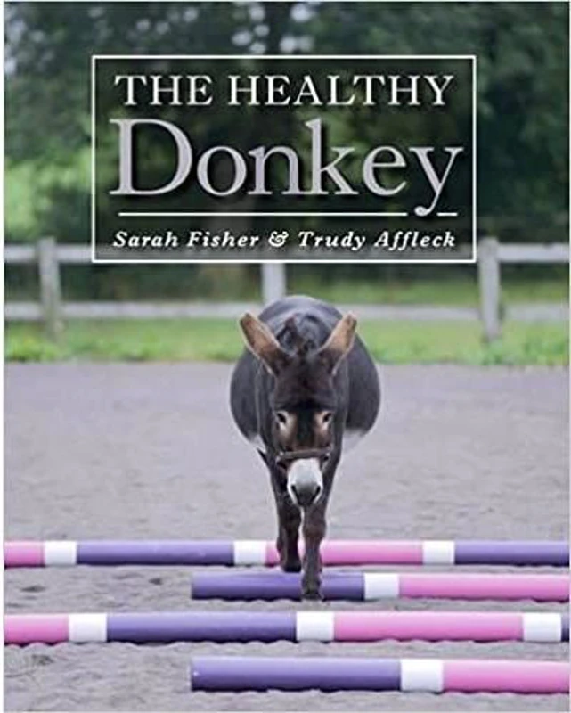 The Healthy Donkey