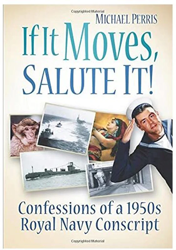 If It Moves, Salute It!