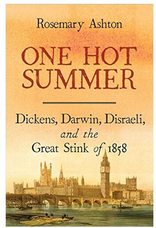 One hot summer, Rosemary Ashton
