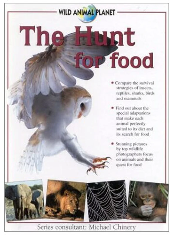 The Hunt for Food