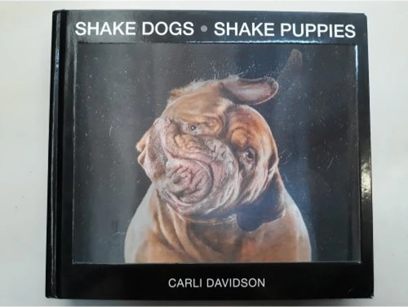 Shake Dogs Shake Puppies, CARLI DAVIDSON