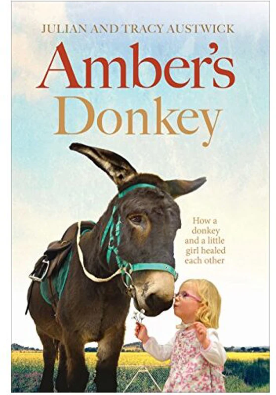 Amber's Donkey