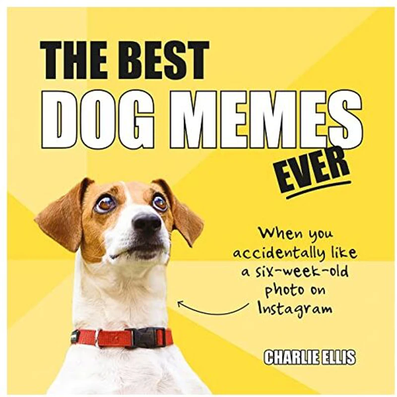 Best Dog Memes Ever
