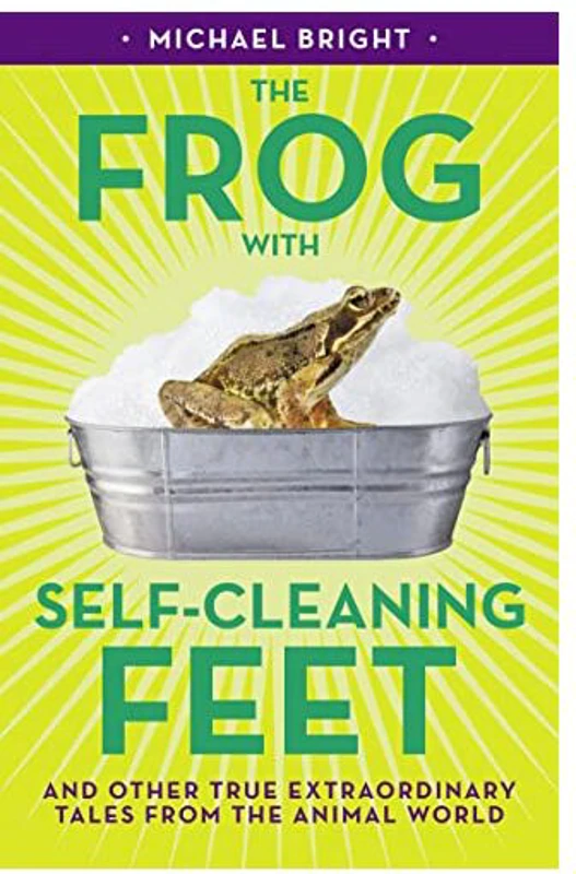 Frog with Self-Cleaning Feet