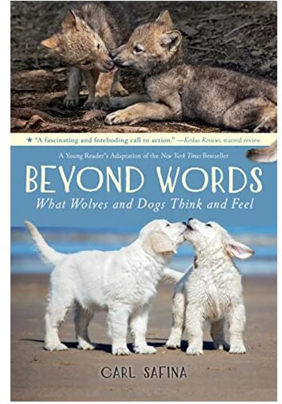 Beyond Words