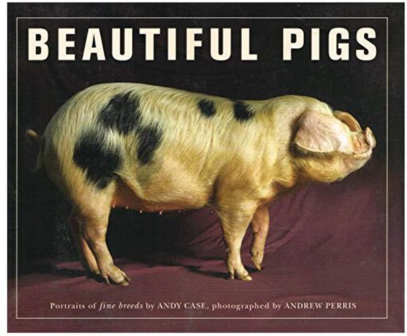 Beautiful Pigs