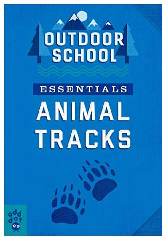 Outdoor School Essentials