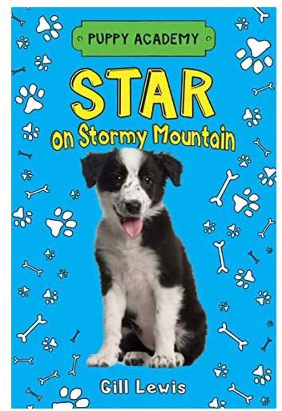 Star on Stormy Mountain