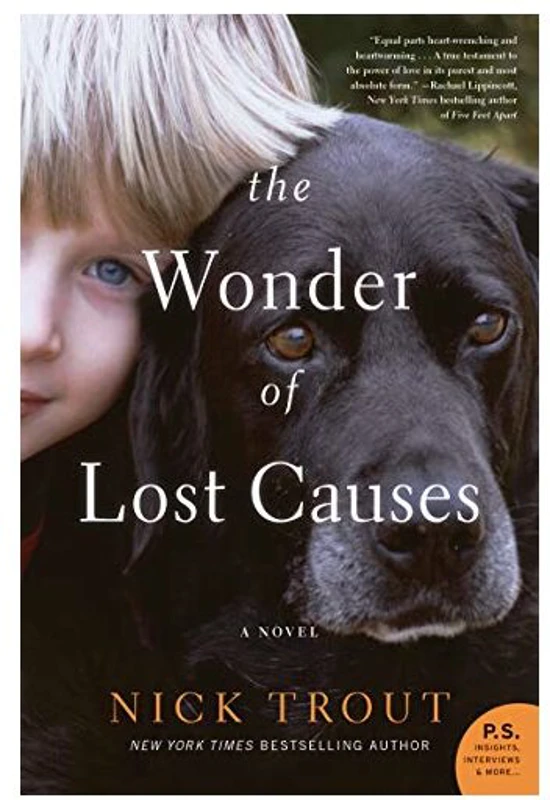 The Wonder of Lost Causes