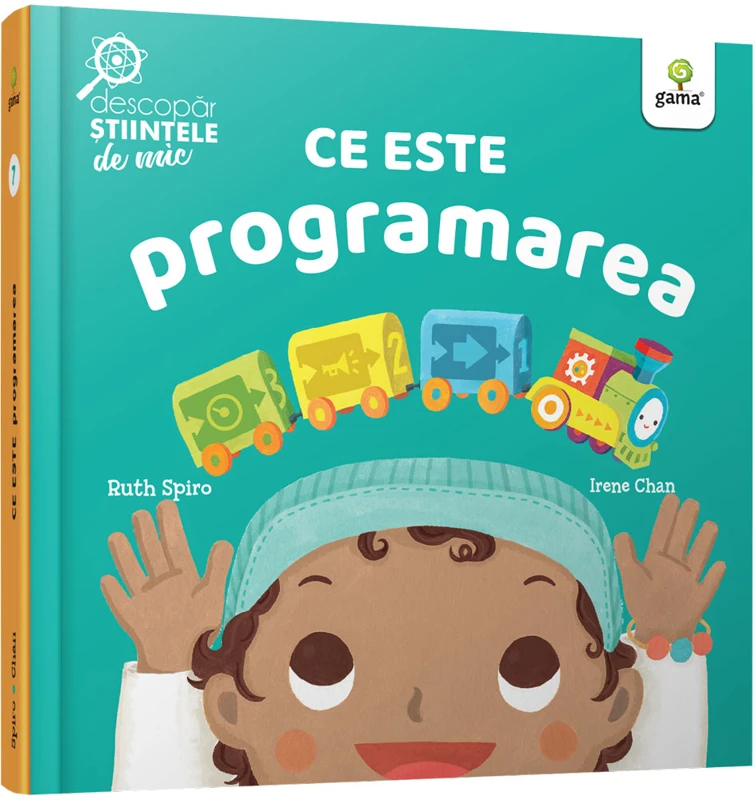 Ce este programarea