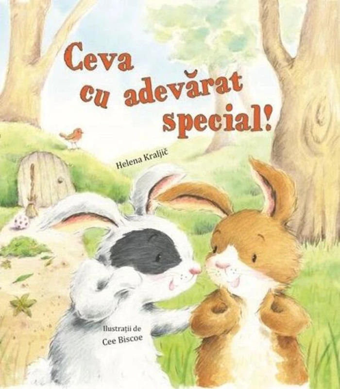 Ceva cu adevărat special
