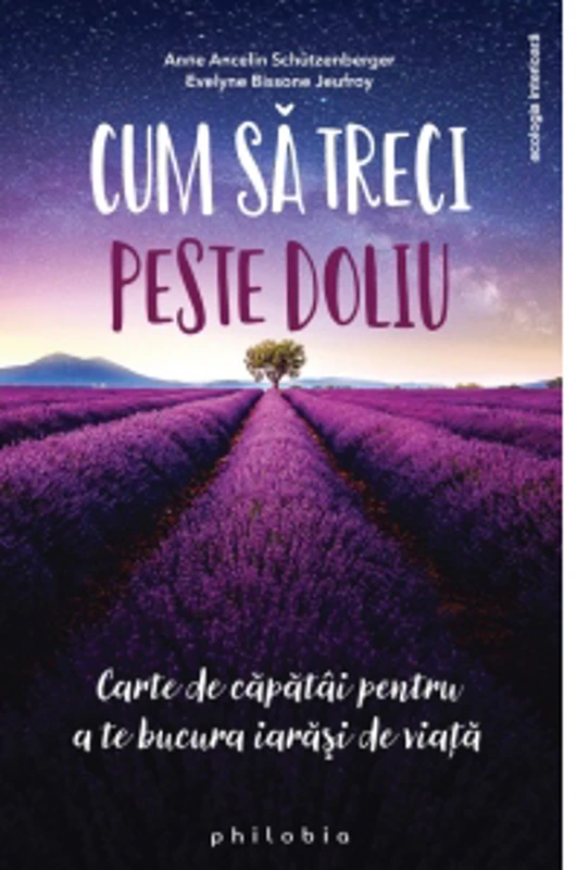 Cum sa treci peste doliu. Carte de capatai pentru a te bucura iarasi de viata