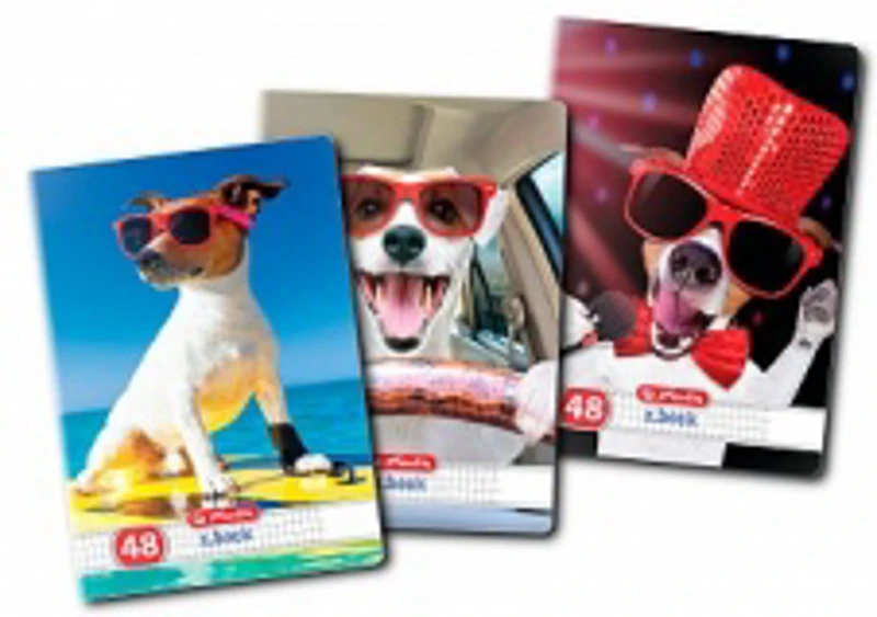 Caiet A5 48 file patratele, motiv Cool Dog
